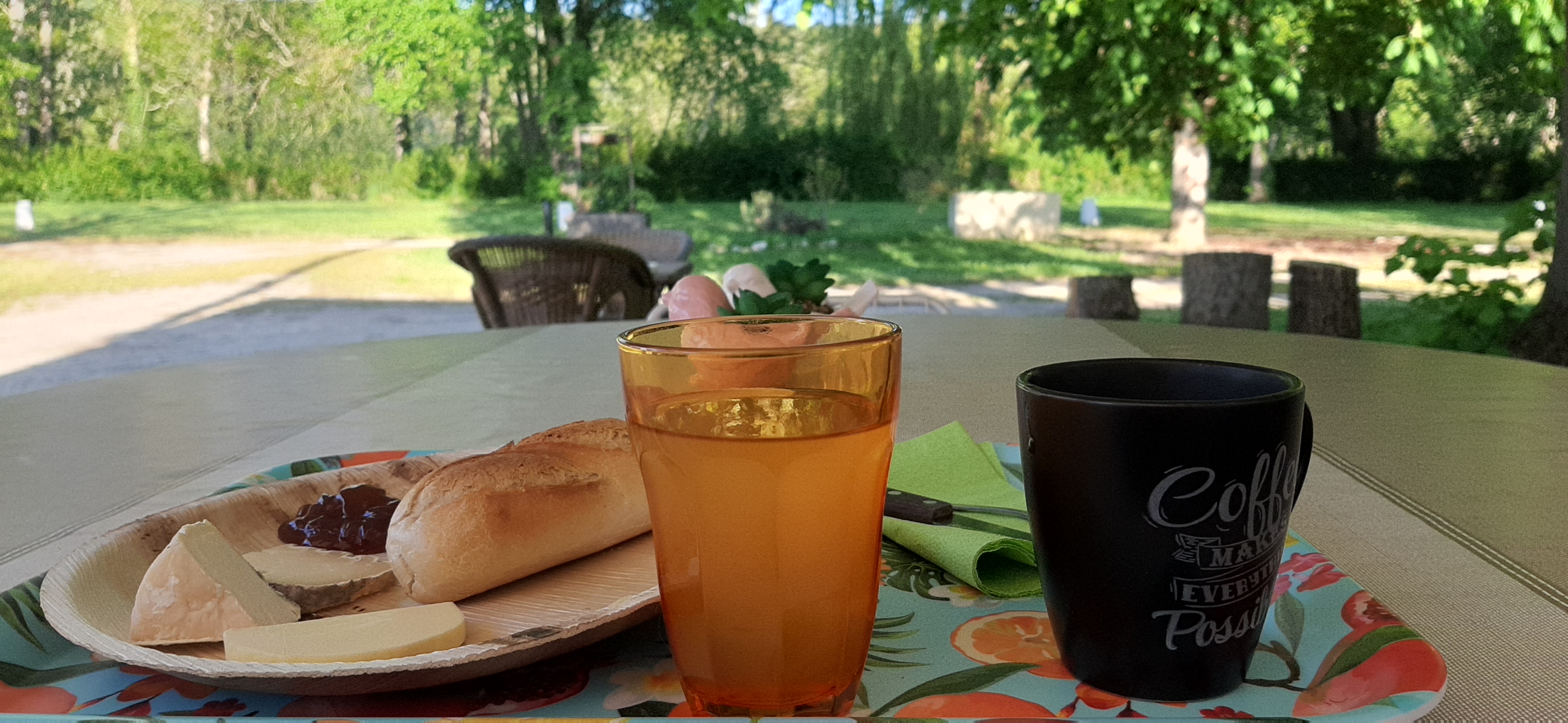 Photo d'un plateau contenant un petit déjeuner